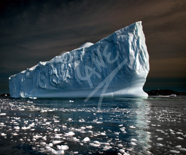 Iceberg off Twillingate lighthouse